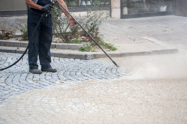 Best Deck and Patio Pressure Washing in Lake Ridge, VA