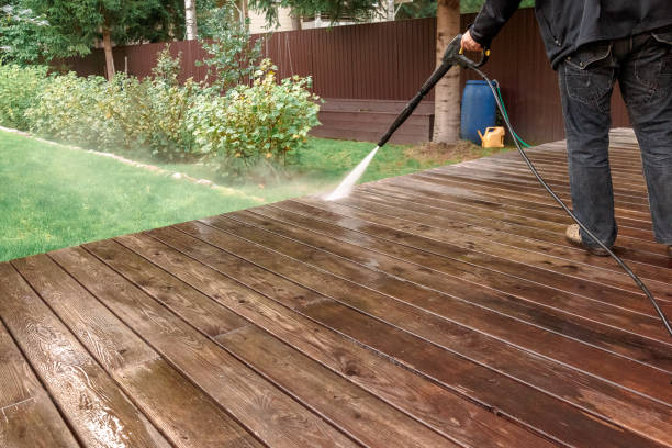 Best Roof Cleaning and Mildew Removal in Lake Ridge, VA